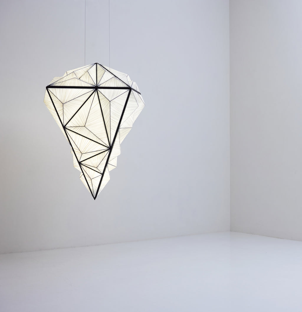 Zooid Pendant Light