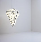 Zooid Pendant Light