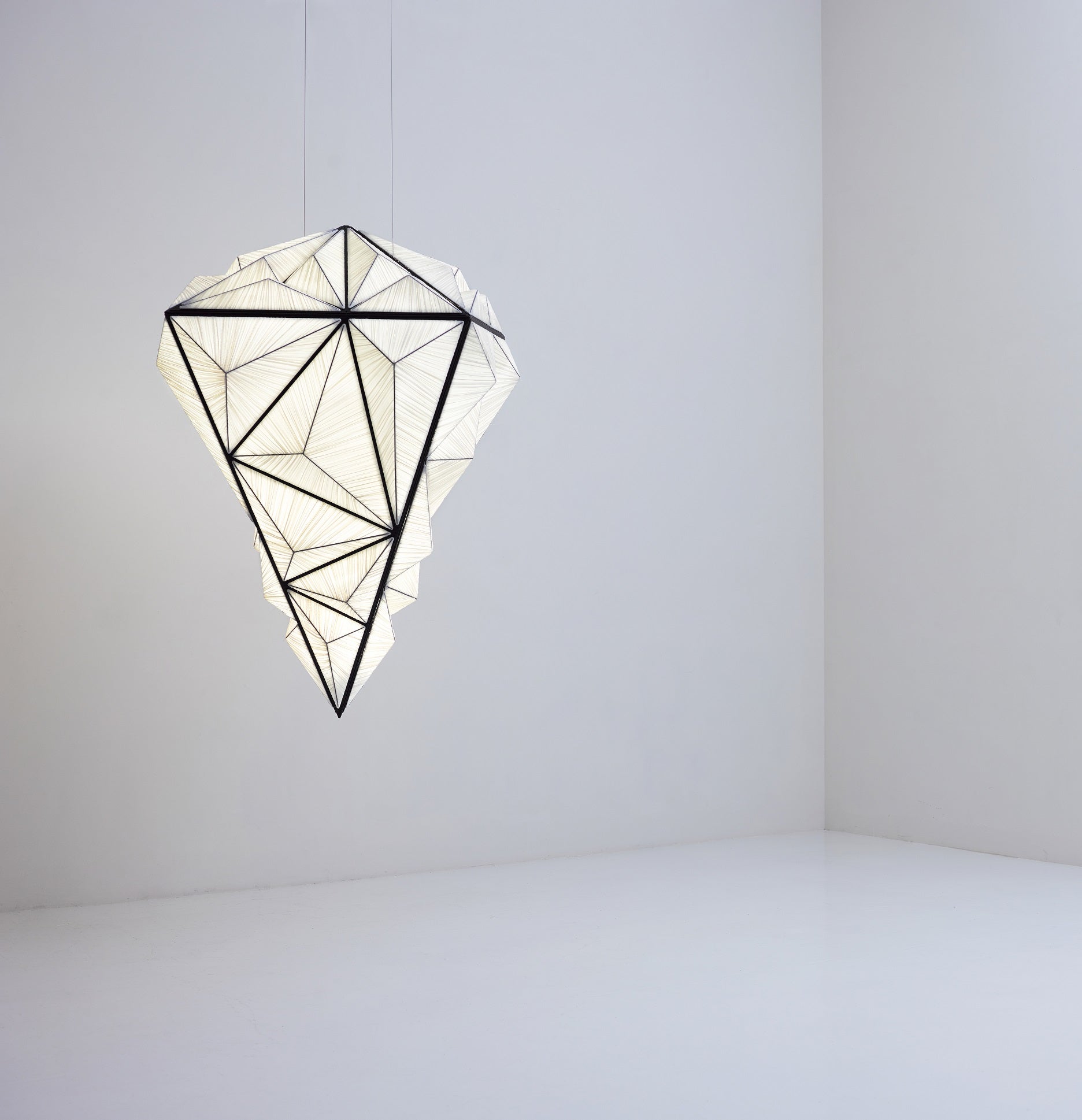 Zooid Pendant Light