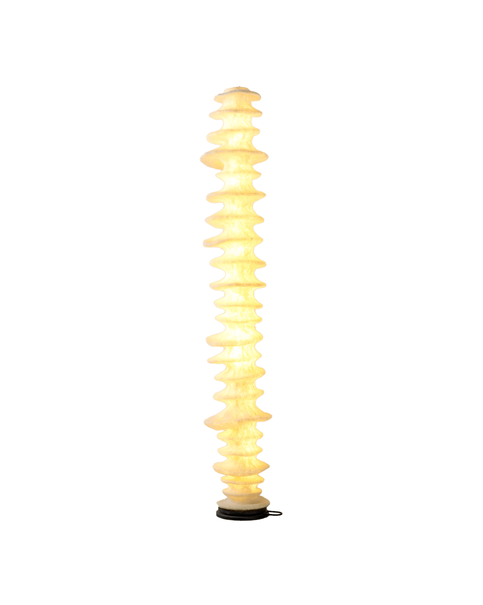 562436_6 562436_6