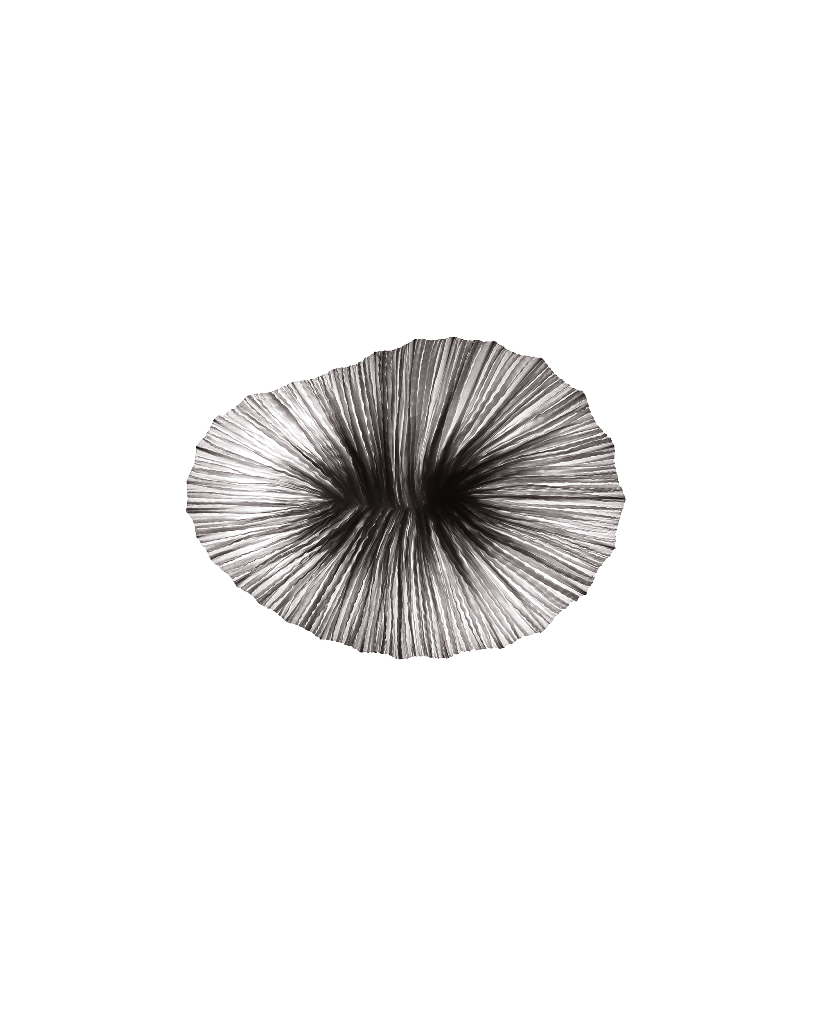 Baby Coral Wall & Ceiling Light