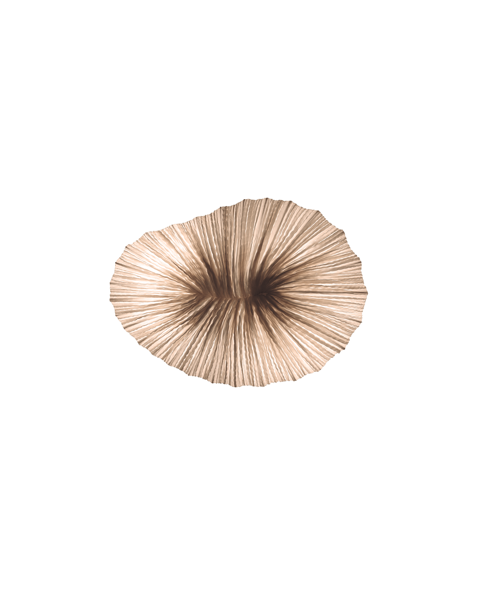 Baby Coral Wall & Ceiling Light