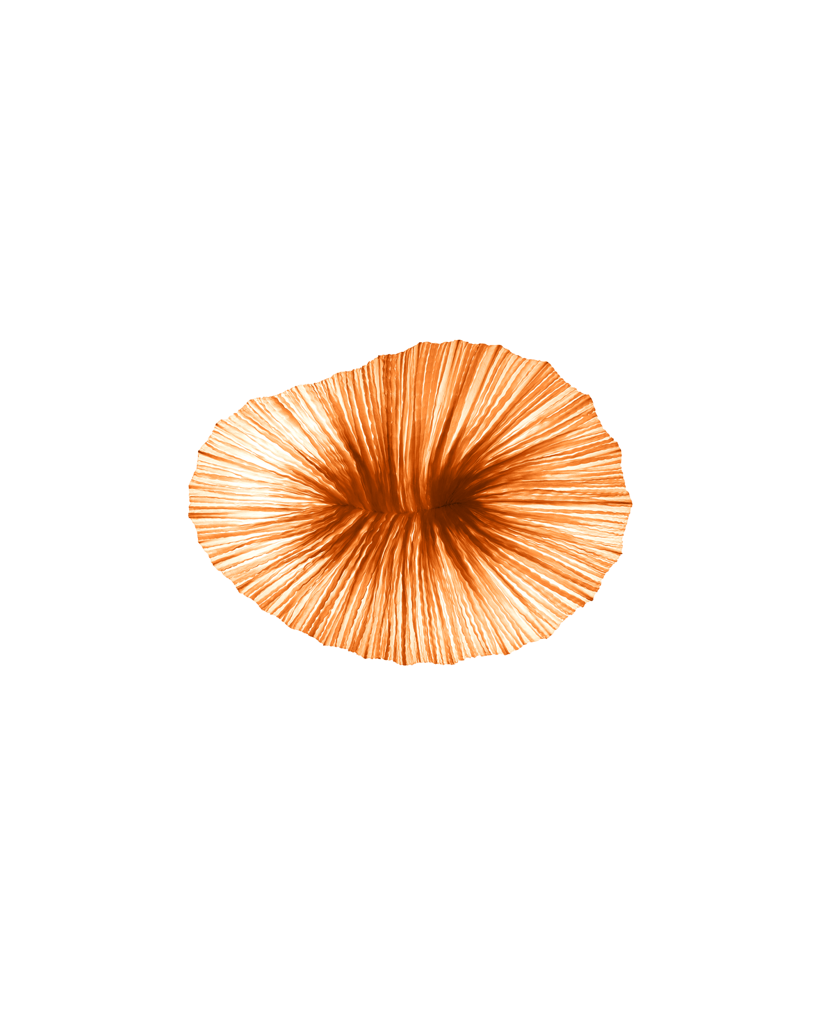 Baby Coral Wall & Ceiling Light