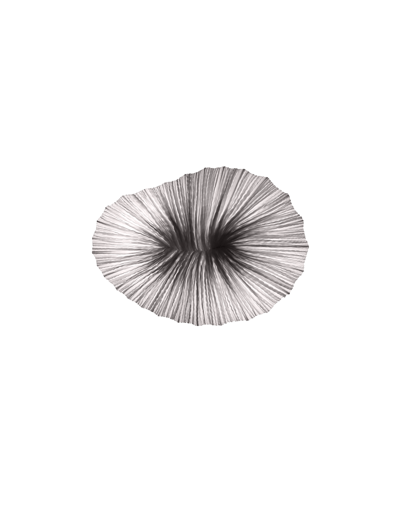 Baby Coral Wall & Ceiling Light