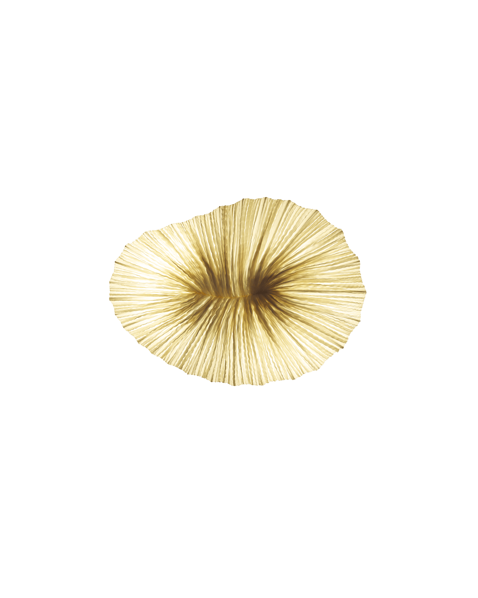 Baby Coral Wall & Ceiling Light