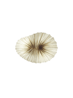 Baby Coral Wall & Ceiling Light