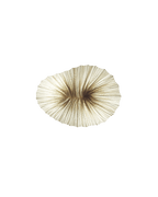 Baby Coral Wall & Ceiling Light