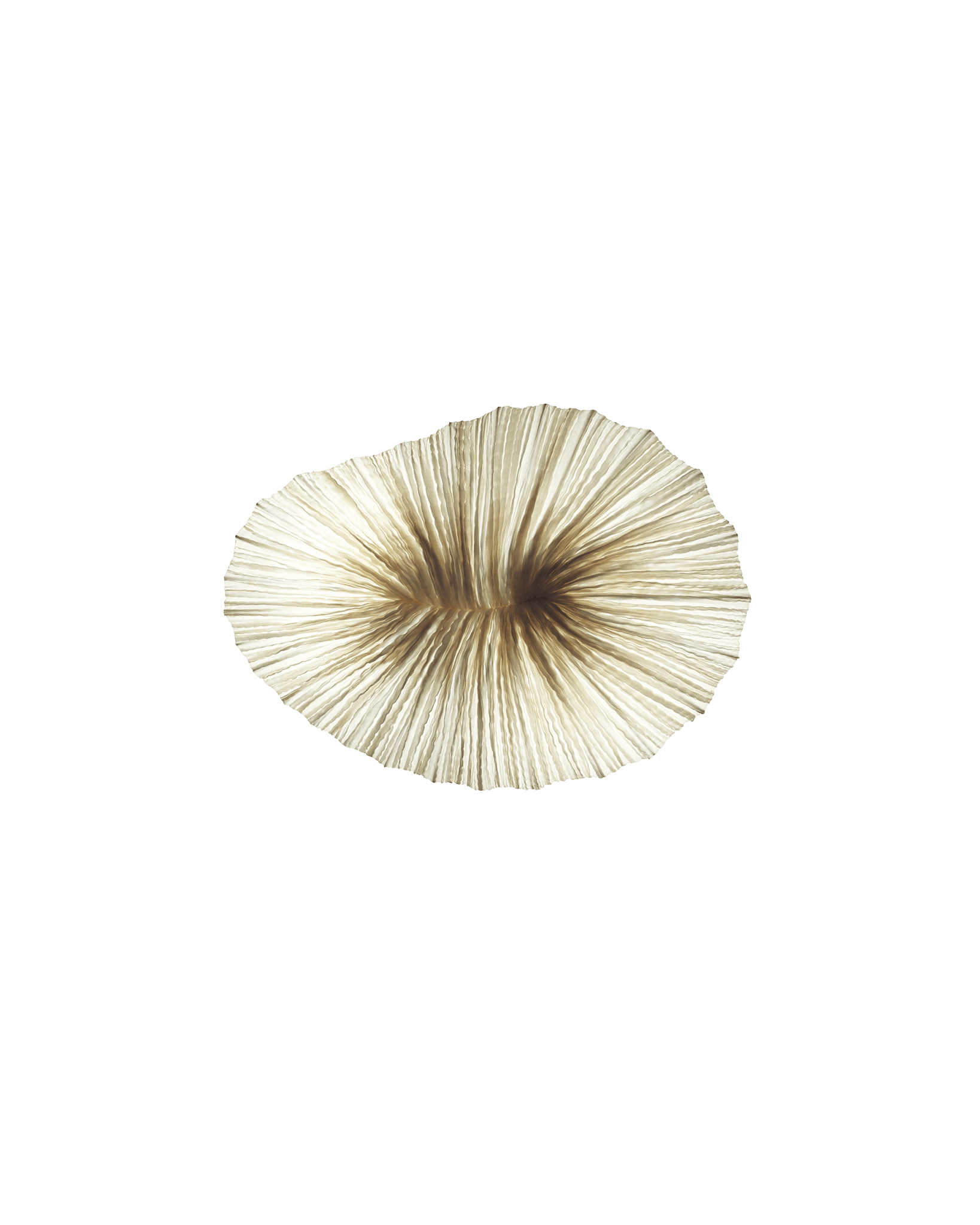 Baby Coral Wall & Ceiling Light