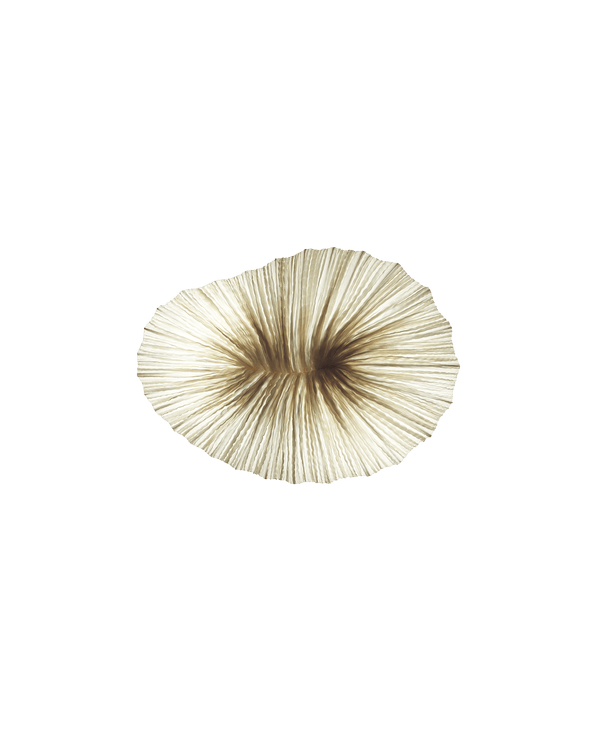 Baby Coral Wall & Ceiling Light