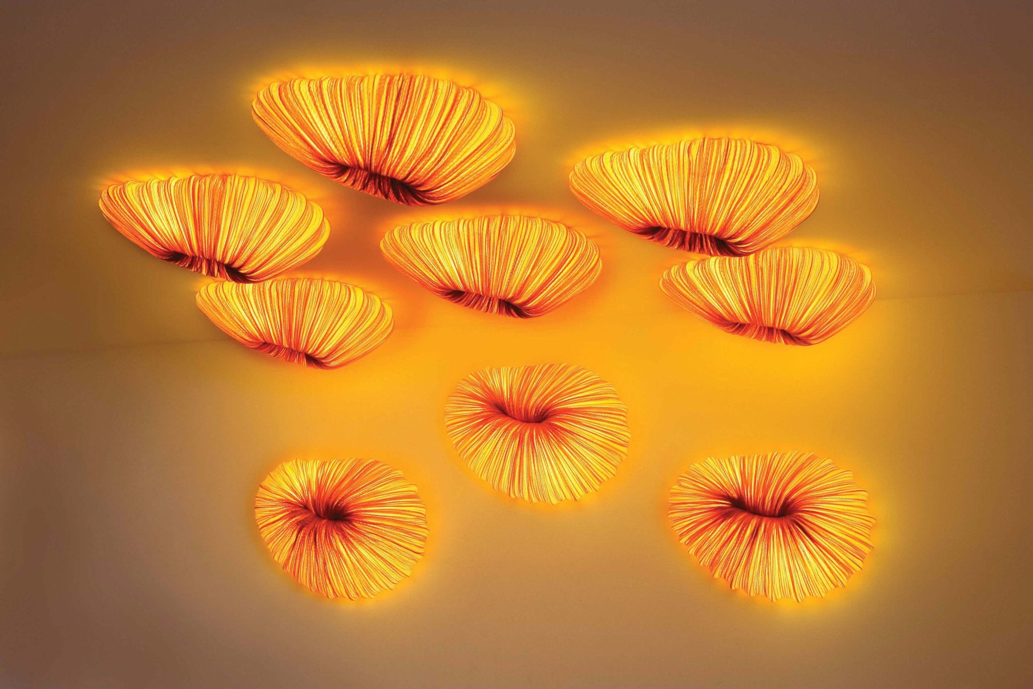 Baby Coral Wall & Ceiling Light
