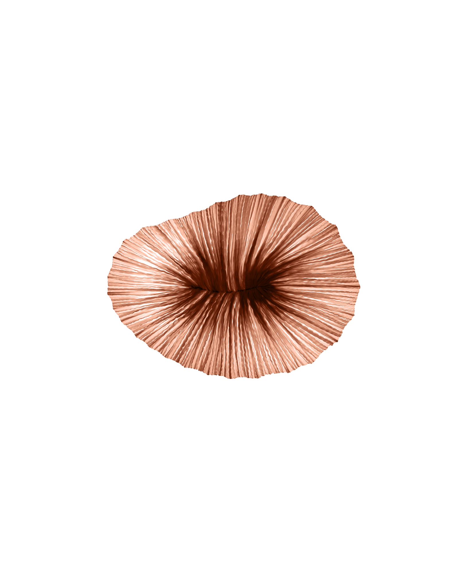 Baby Coral Wall & Ceiling Light