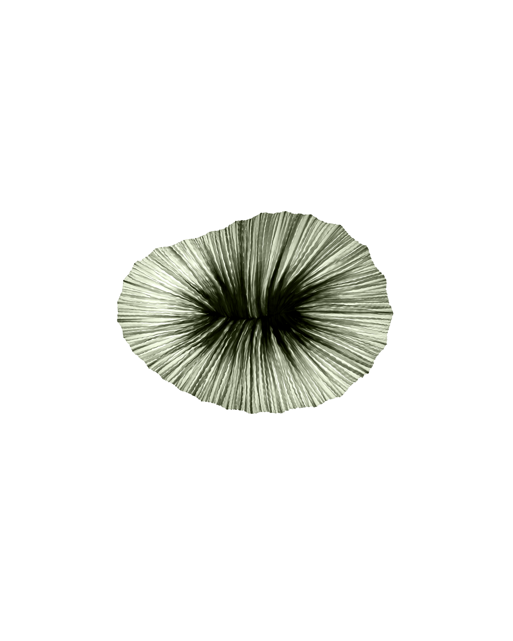 Baby Coral Wall & Ceiling Light