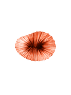 Rust silk Baby Coral, an organic modern light fixture for dining room walls in Rust pleats, Aqua Creations