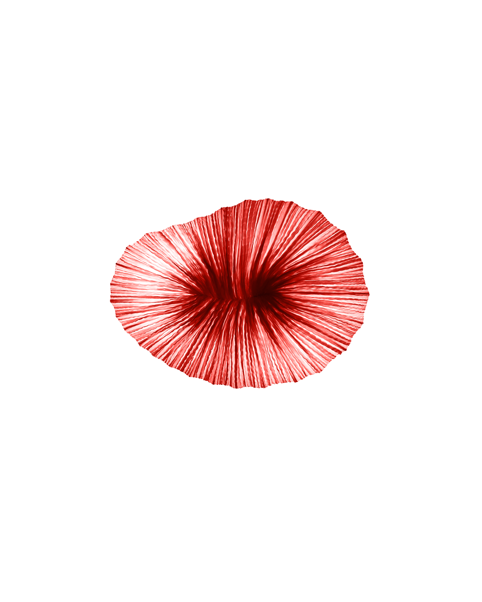 Baby Coral Wall & Ceiling Light