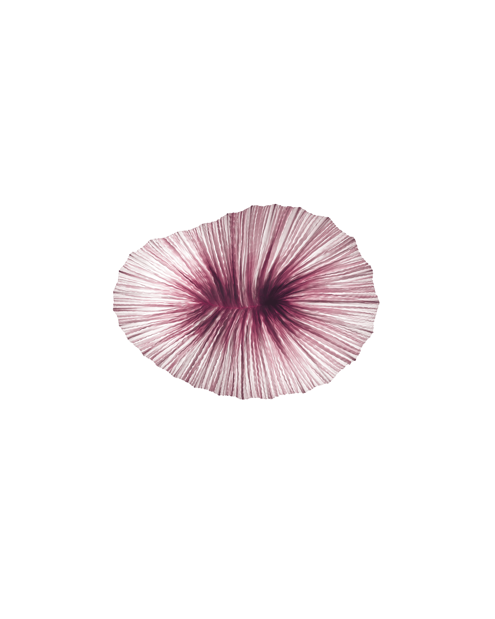 Baby Coral Wall & Ceiling Light