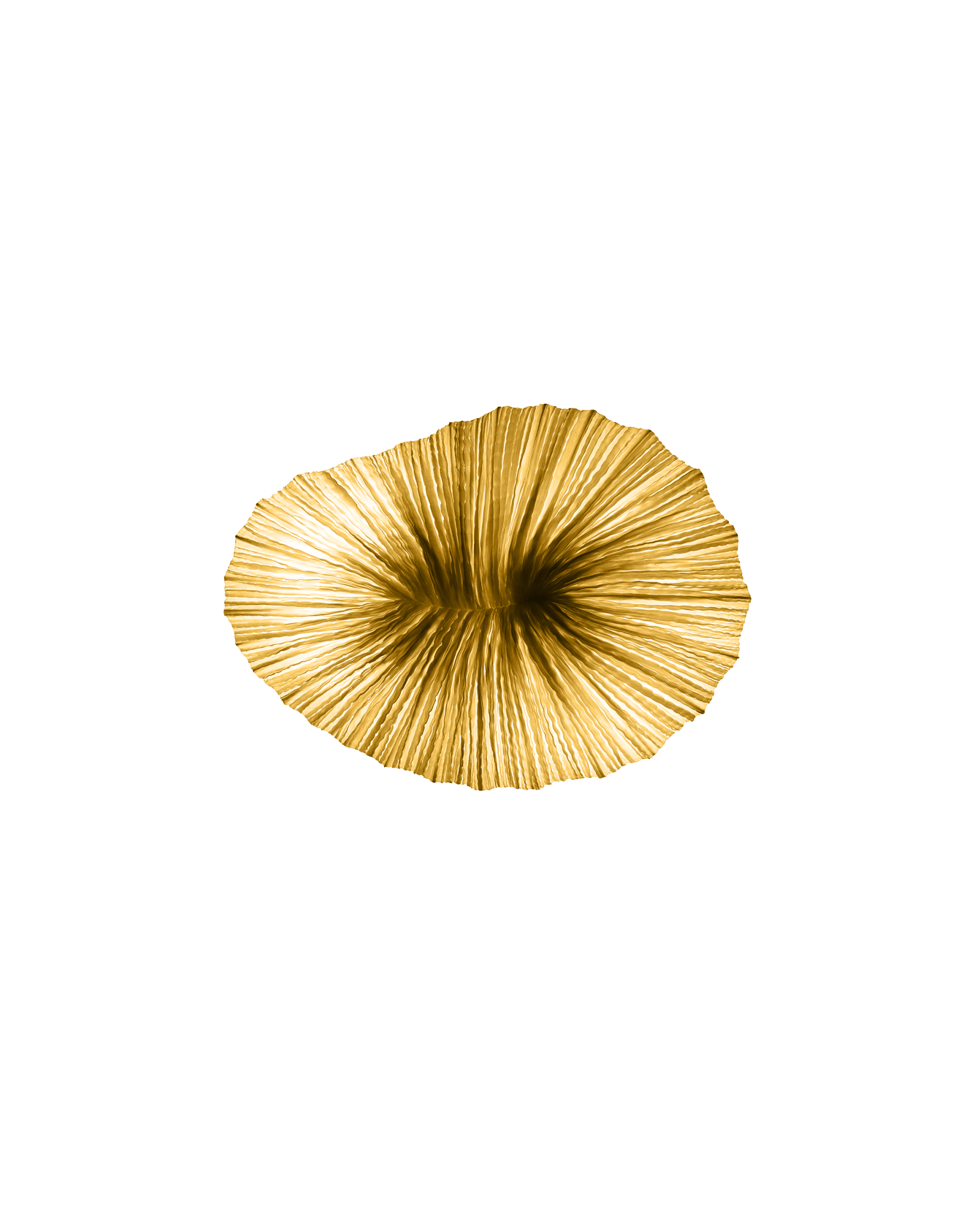 Baby Coral Wall & Ceiling Light