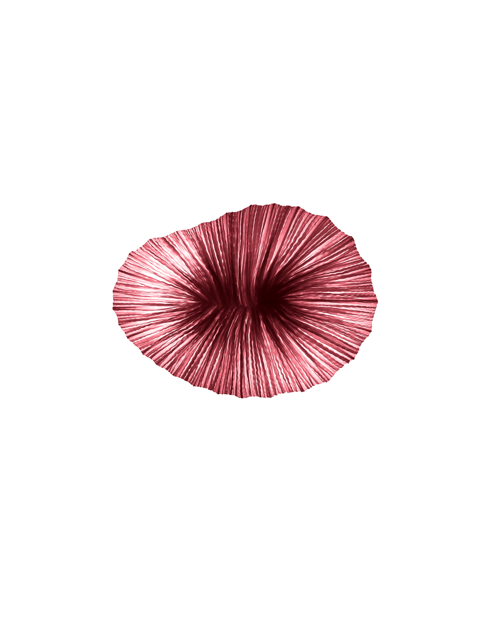 Baby Coral Wall & Ceiling Light