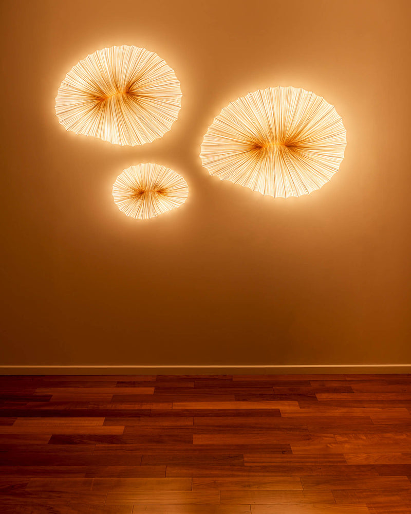 Baby Coral Wall & Ceiling Light - Gold (EU)