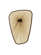 Baby Sea of Galilee Wall Light
