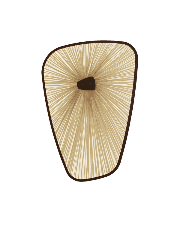 Baby Sea of Galilee Wall Light