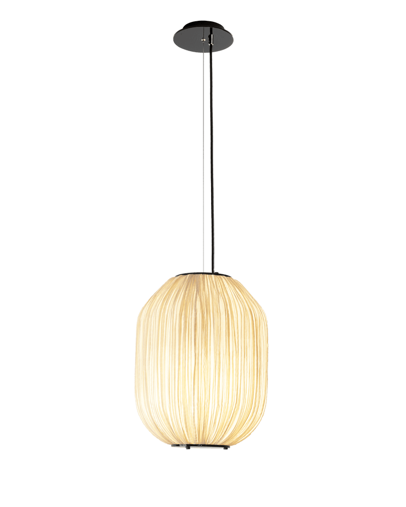 C1 Pendant Light