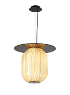 C1+ Pendant Light