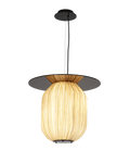 C1+ Pendant Light