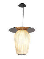 C2+ Pendant Light