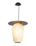 C2+ Pendant Light