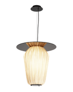 C2+ Pendant Light
