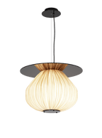 C3+ Pendant Light