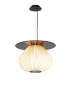 C3+ Pendant Light