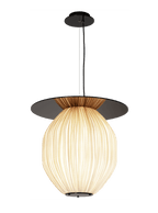 C4+ Pendant Light