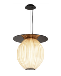 C4+ Pendant Light