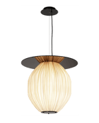 C4+ Pendant Light