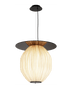 C4+ Pendant Light — organic modern pendant light in hand-dyed silk by Aqua Creations