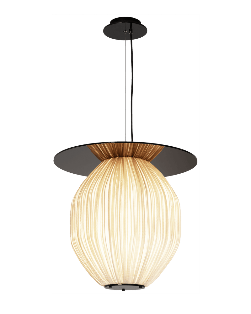 C4+ Pendant Light