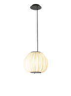 C5 Pendant Light