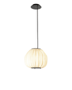 C5 Pendant Light