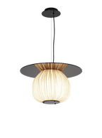 C5+ Pendant Light