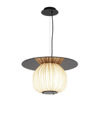 C5+ Pendant Light
