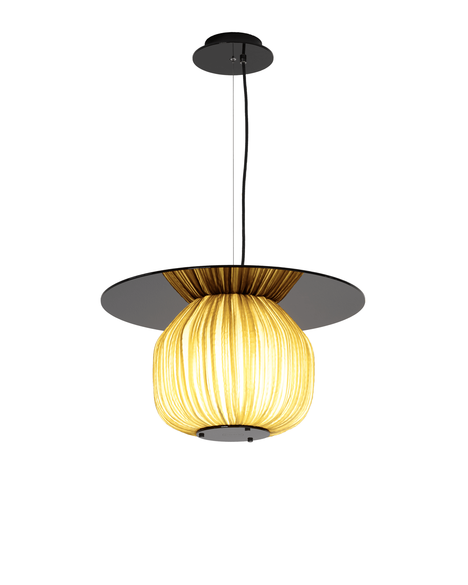 C5+ Pendant Light