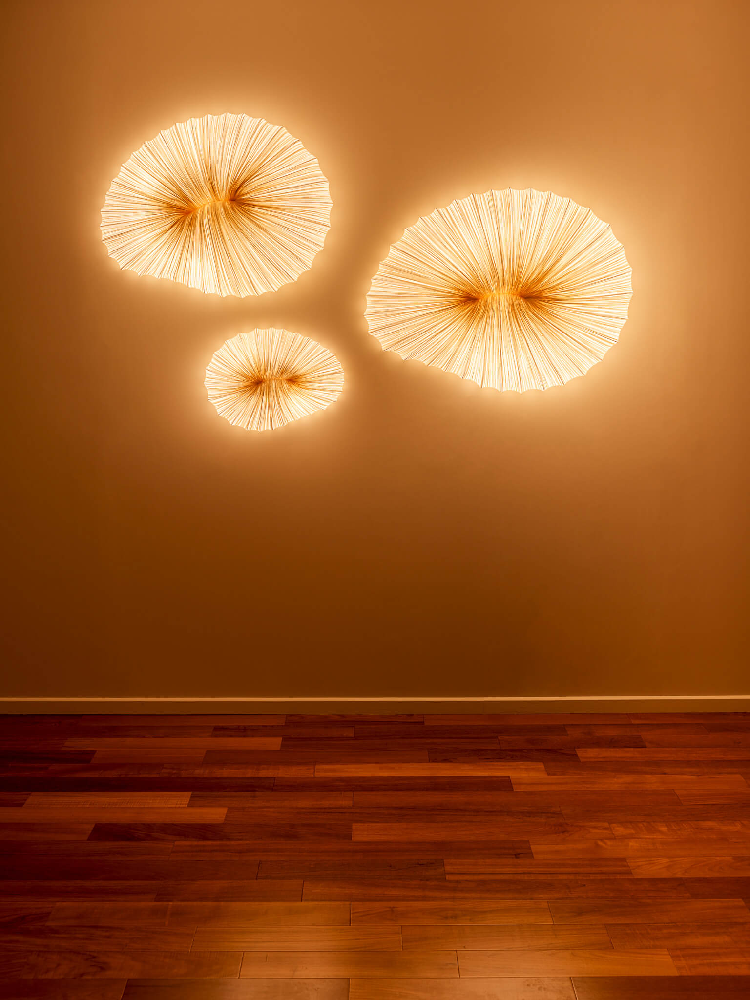 Coral Wall & Ceiling Light