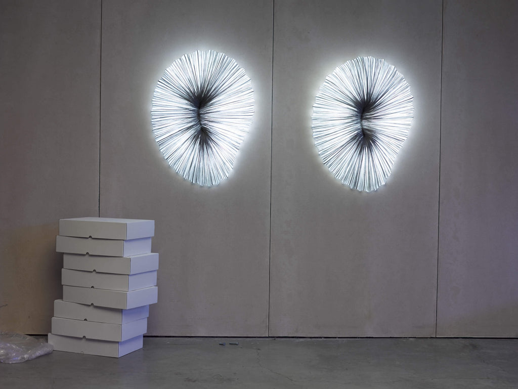 Coral Wall & Ceiling Light