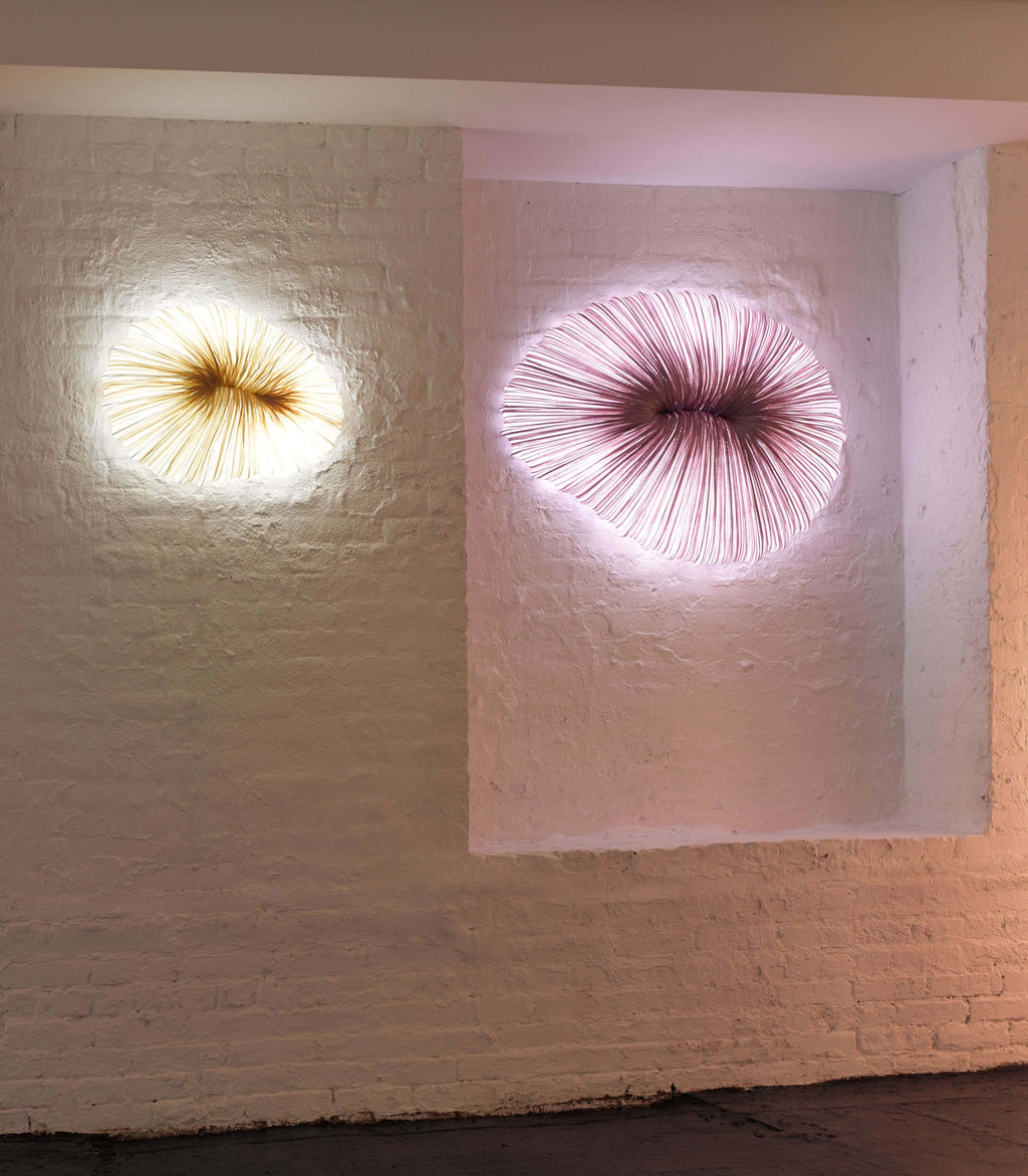 Coral Wall & Ceiling Light