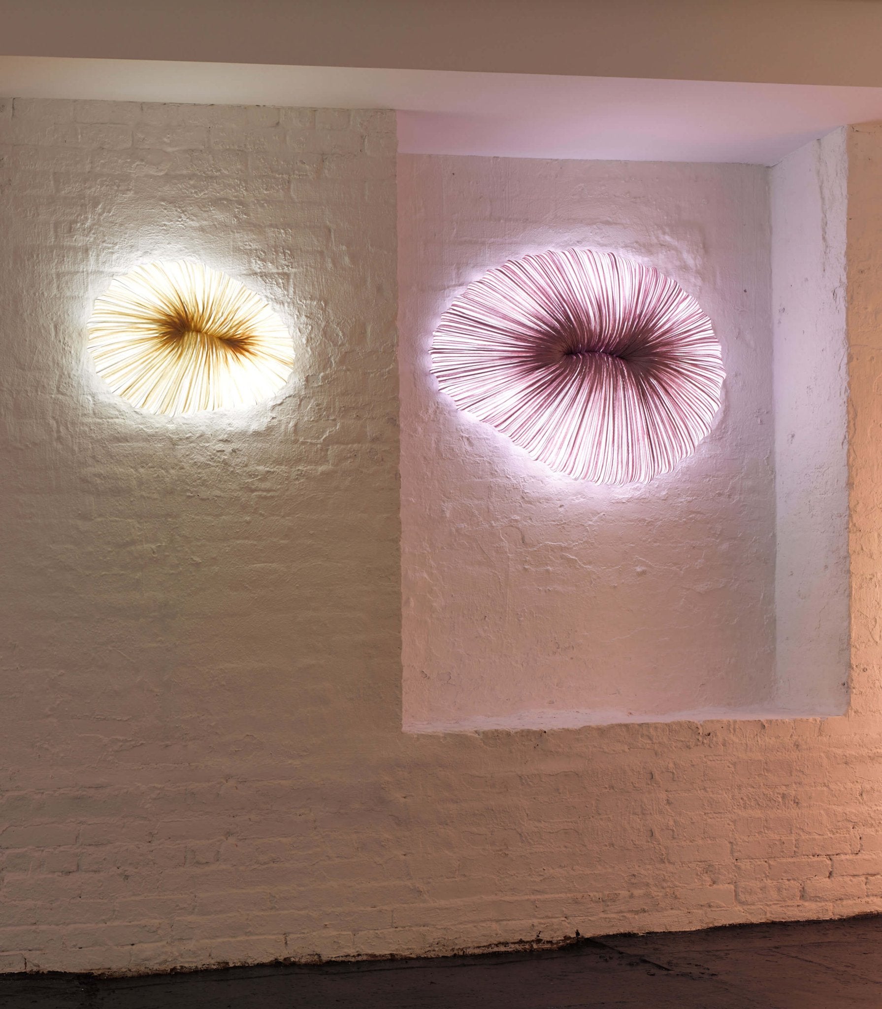 Coral Wall & Ceiling Light