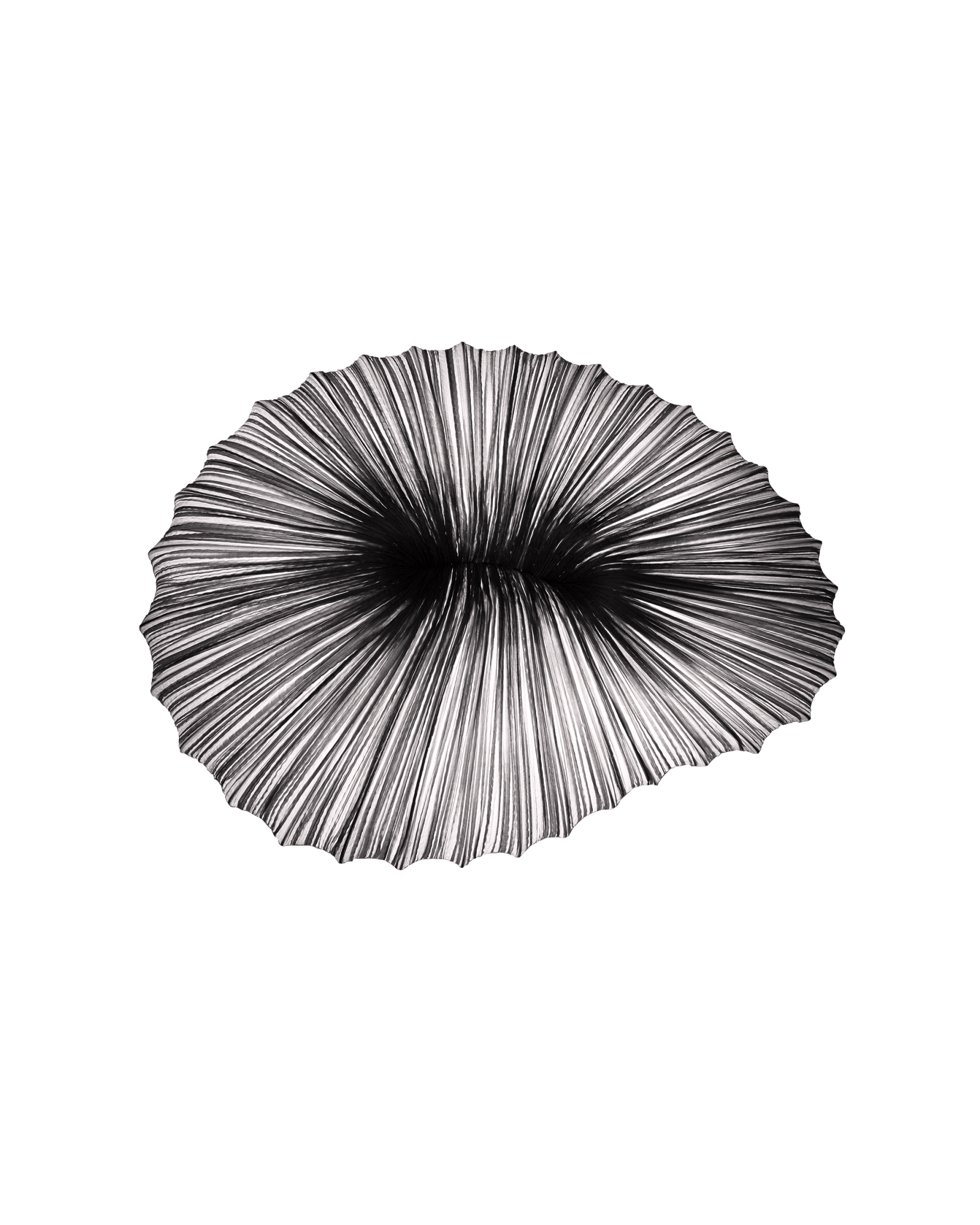 Coral Wall & Ceiling Light