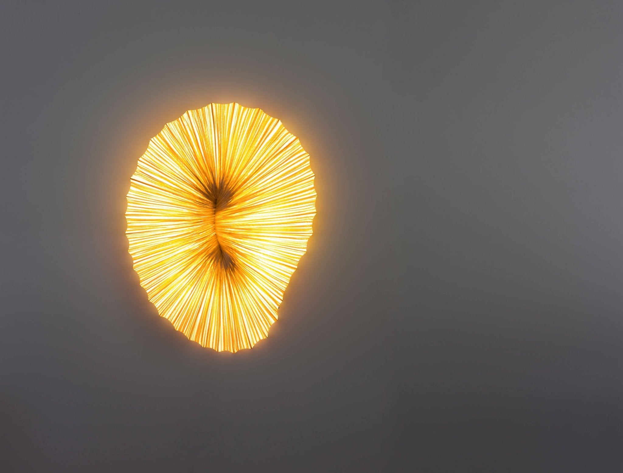 Coral Wall & Ceiling Light