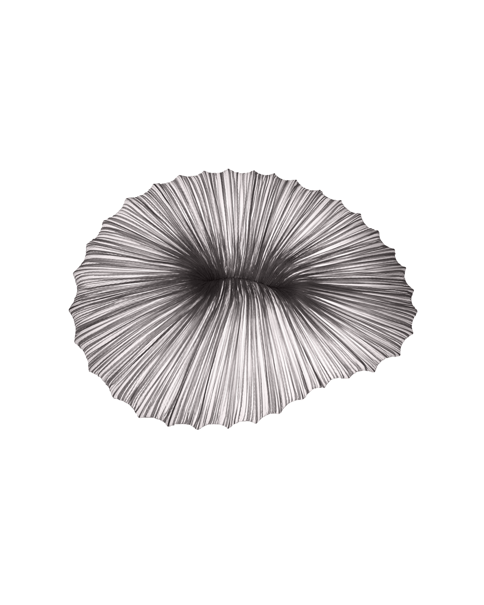 Coral Wall & Ceiling Light