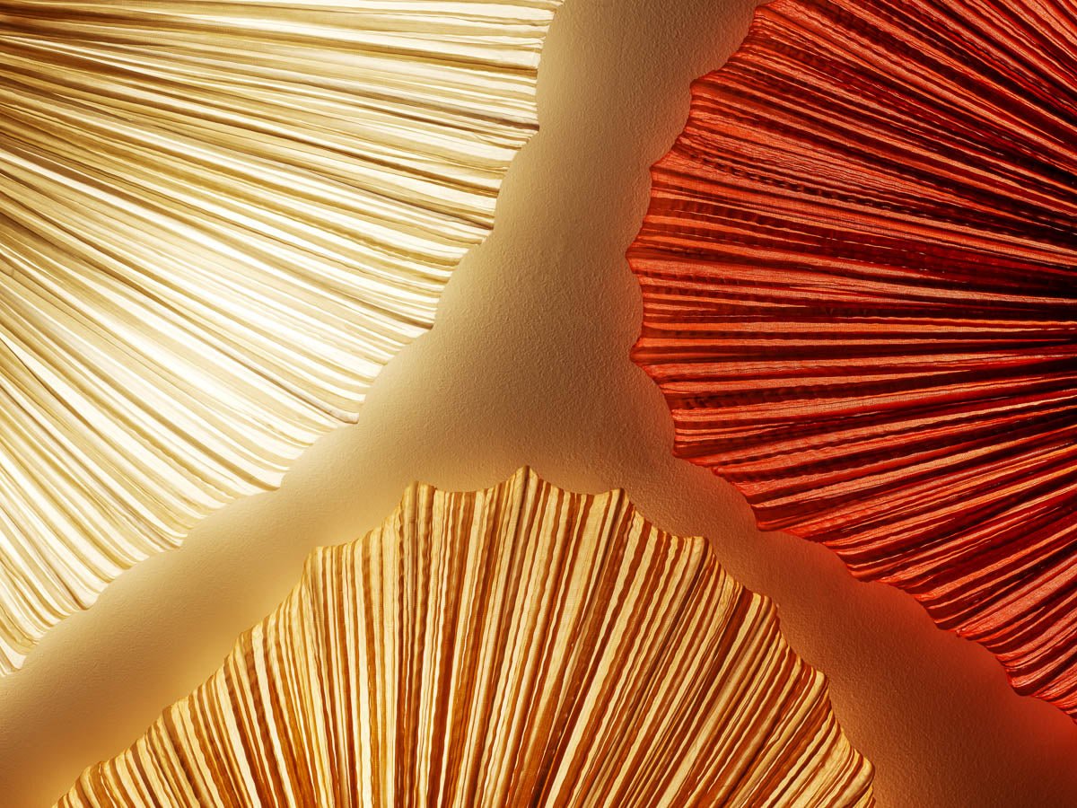 Coral Wall & Ceiling Light